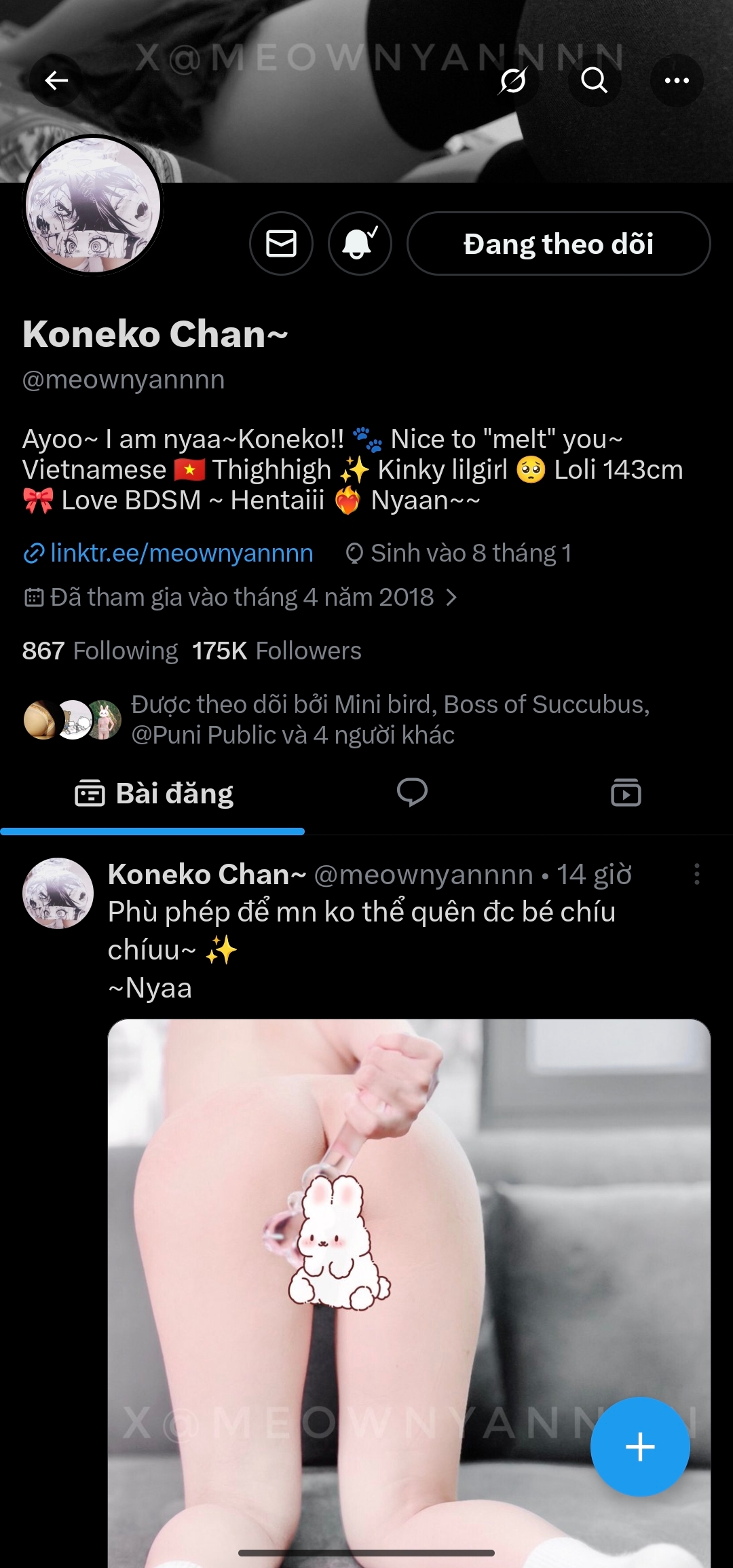 1000012804.jpg