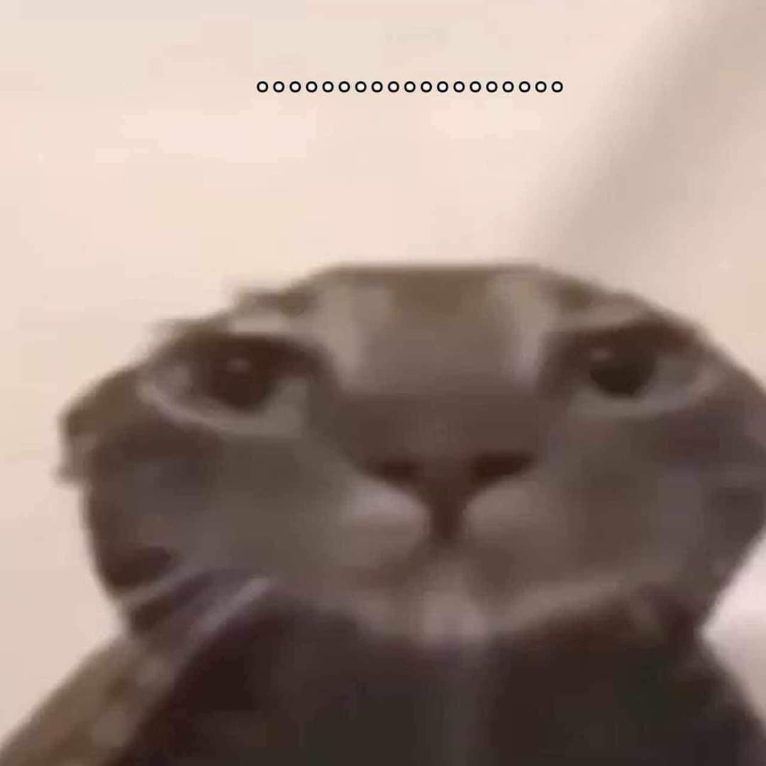 1000073701.jpg