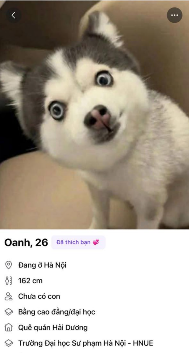 1783479567270.png