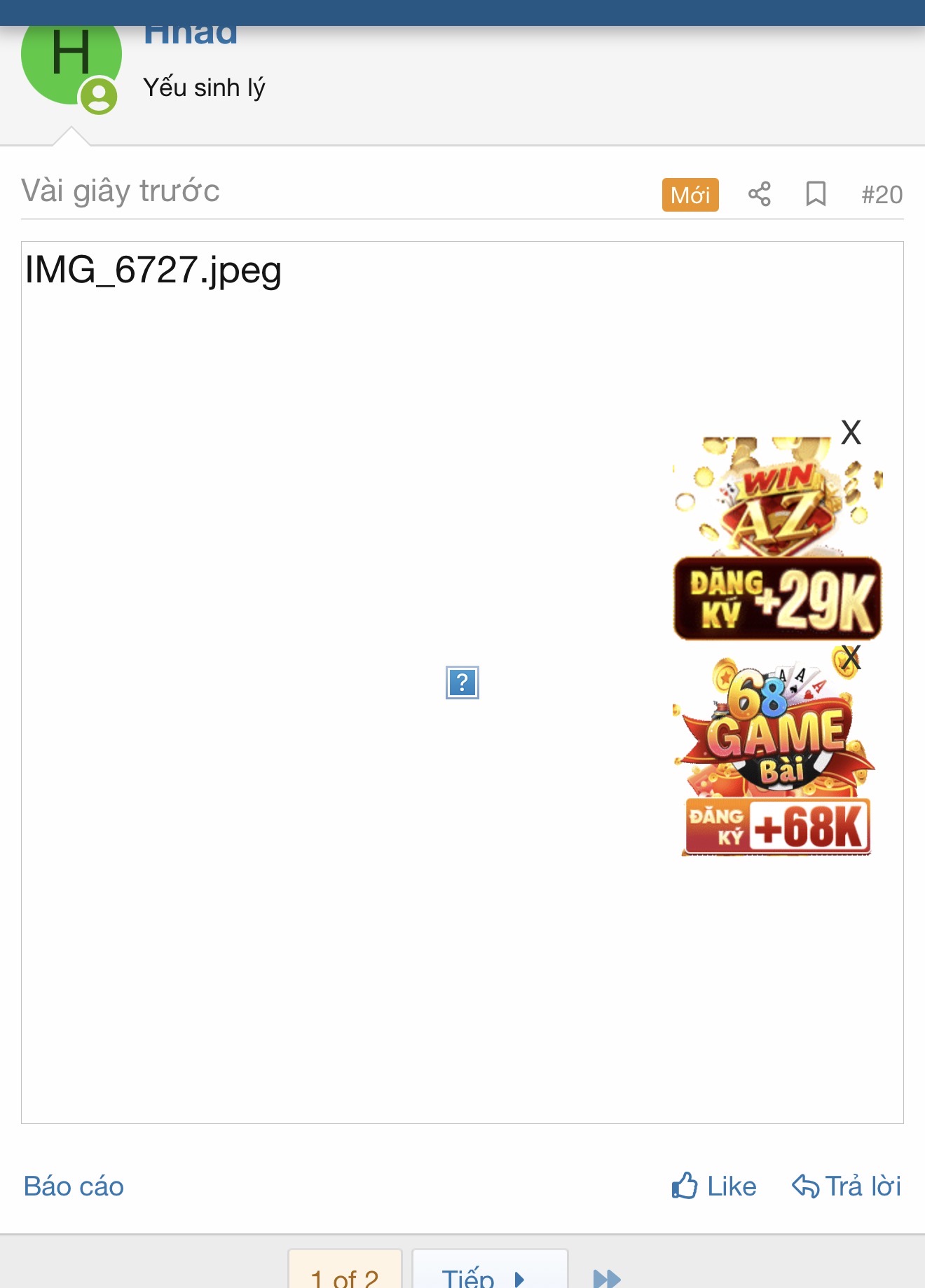 IMG_2978.jpeg