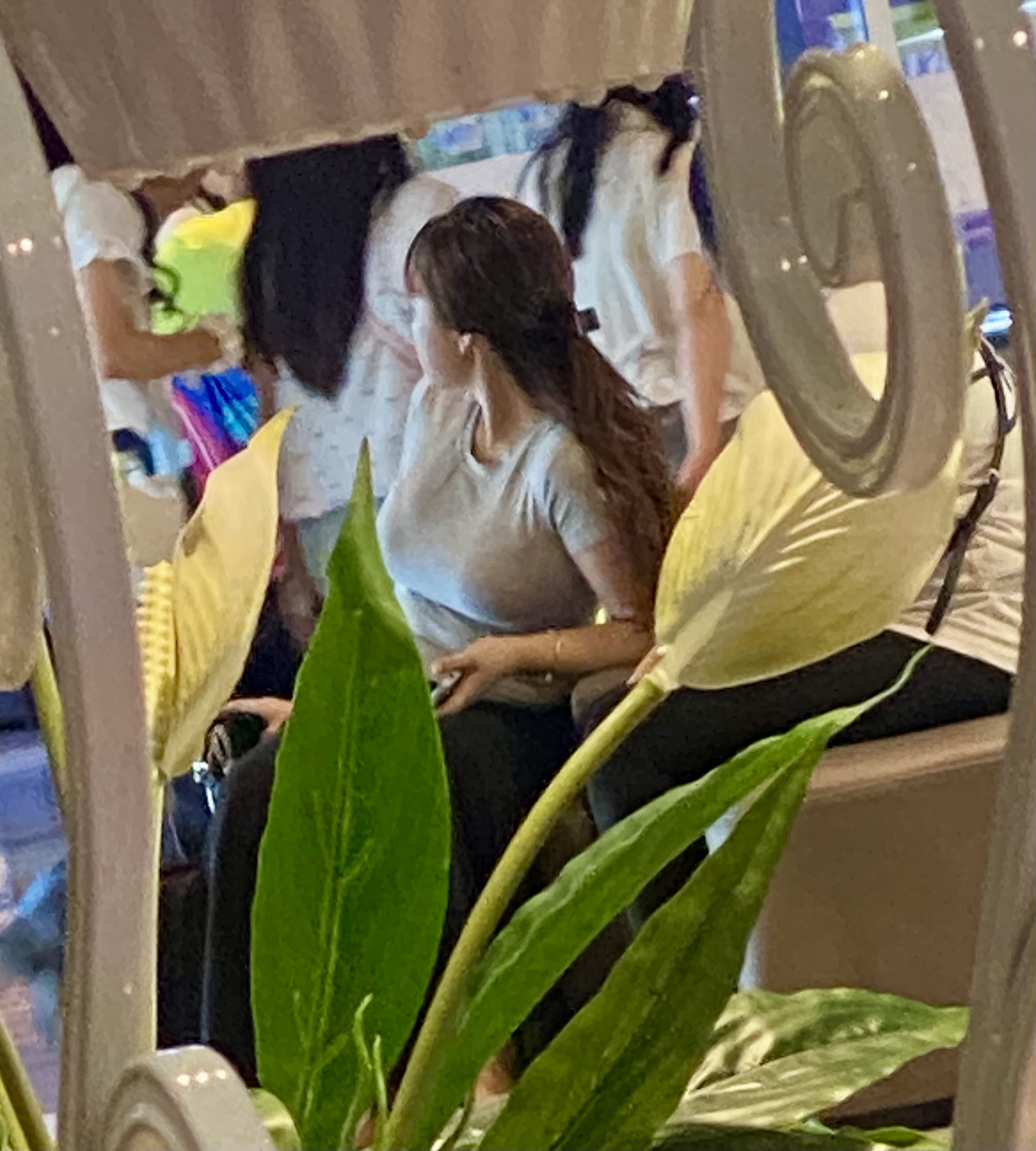 IMG_2127.jpeg
