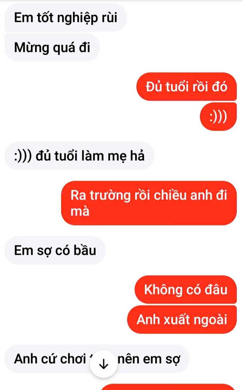 255158.jpg