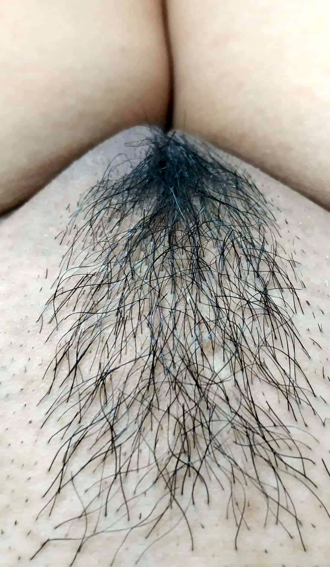 1786609848933.jpeg