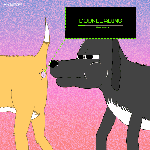 IMG_0453.gif