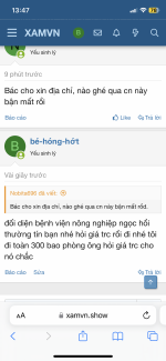 IMG_1005.png