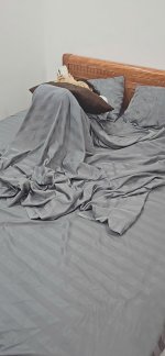 IMG_20241212_173956.jpg