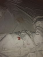 IMG_2880.jpeg