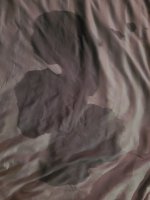 20250328_153508.jpg