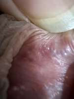IMG_3440.jpeg