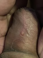 IMG_5546.jpeg