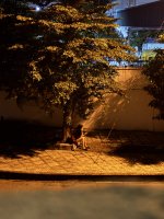 IMG_1899.jpeg