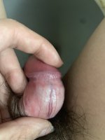 IMG_4150.jpeg
