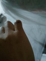 IMG_20251025_224236.jpg