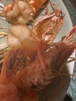 IMG_0759.jpeg
