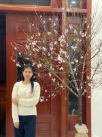 IMG_2501.jpeg