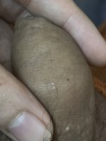 IMG_1970.jpeg