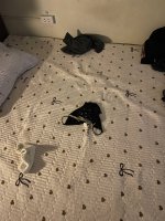 IMG_20260117_064234_696.jpg