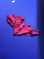 IMG_4526.jpeg