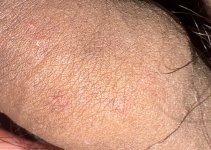 IMG_0225.jpeg