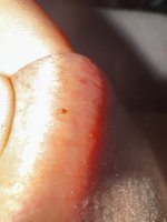 IMG_1805.jpeg