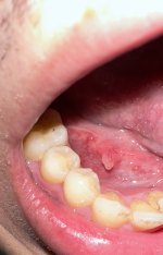IMG_3247.jpeg