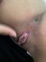 IMG_9727.jpeg