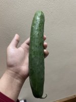 IMG_1510.jpeg