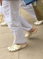 IMG_2206.jpeg