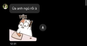 IMG_6351.jpeg