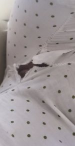 IMG_6200.jpeg