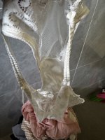 IMG_6558.jpeg