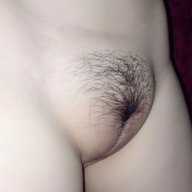 NHAVIETLX