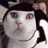 Tiameow